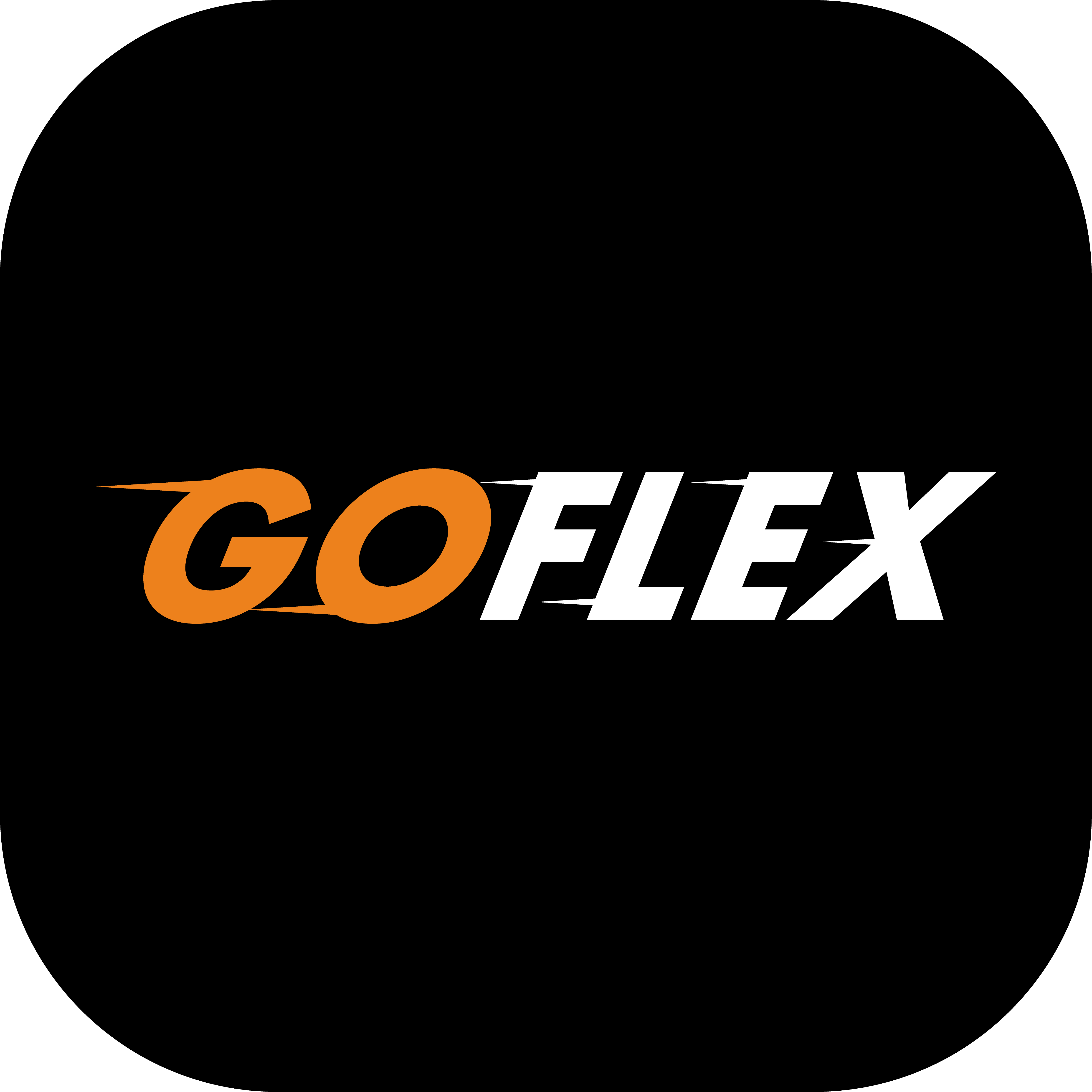 Go Flex